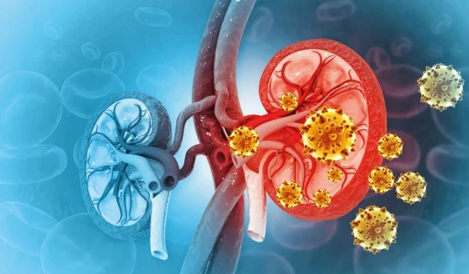 Muốn giữ thận khỏe, đừng bỏ qua 5 việc đơn giản sau khi thức dậy - Hình 1