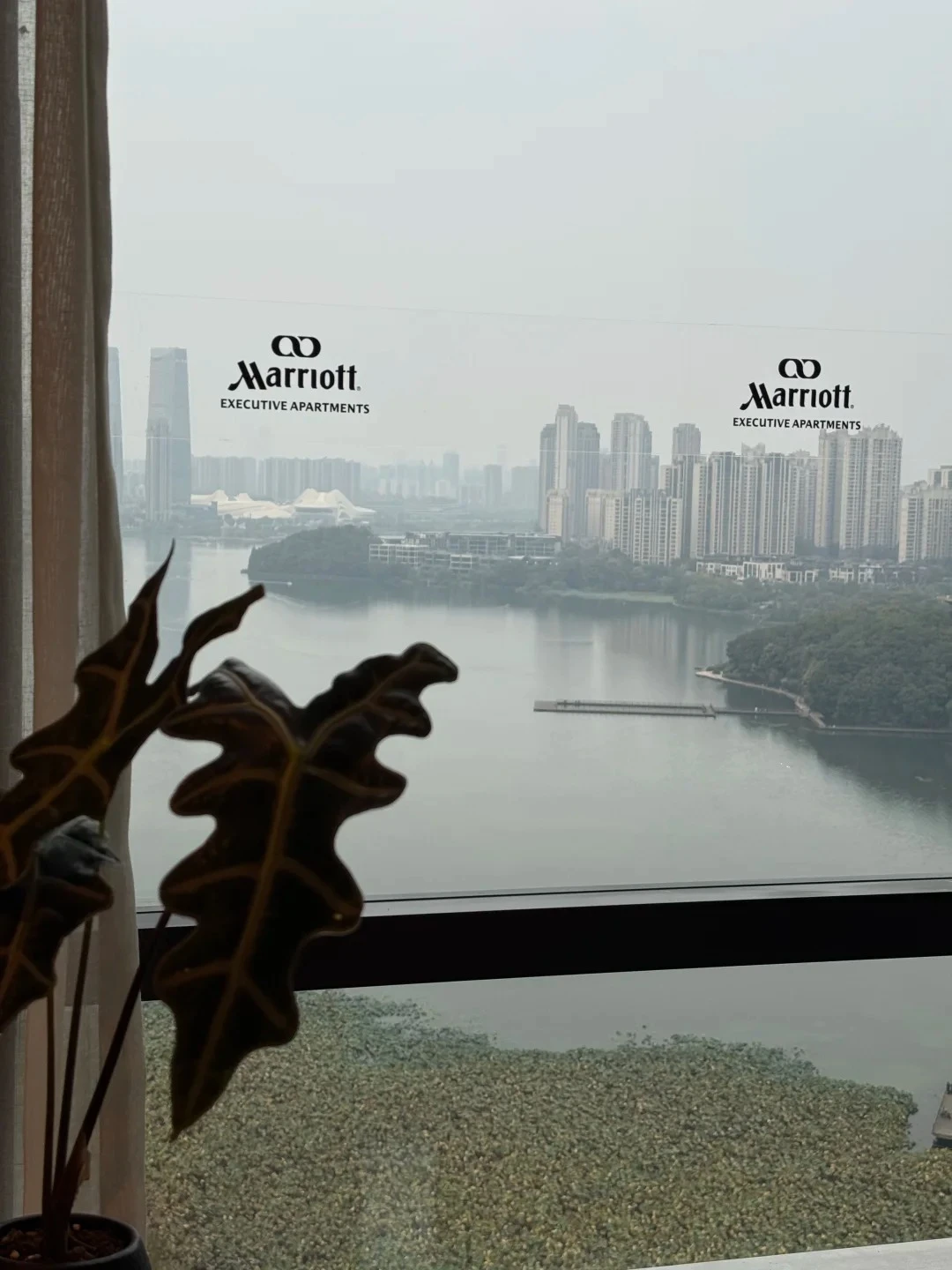 Thanh niên thuê khách sạn Marriott ở suốt 4 năm để được bao điện nước, miễn phí bữa sáng và đi tập gym cho gần - Hình 2