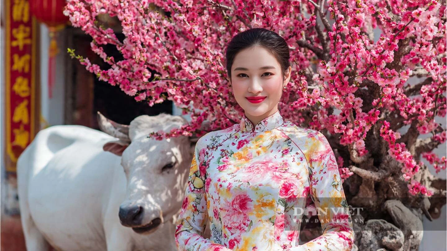 Tử vi ngày mai: 4 con giáp thông minh, có năng lực, biết tích lũy tài sản, tương lai không phải lo lắng về tiền bạc - Hình 1
