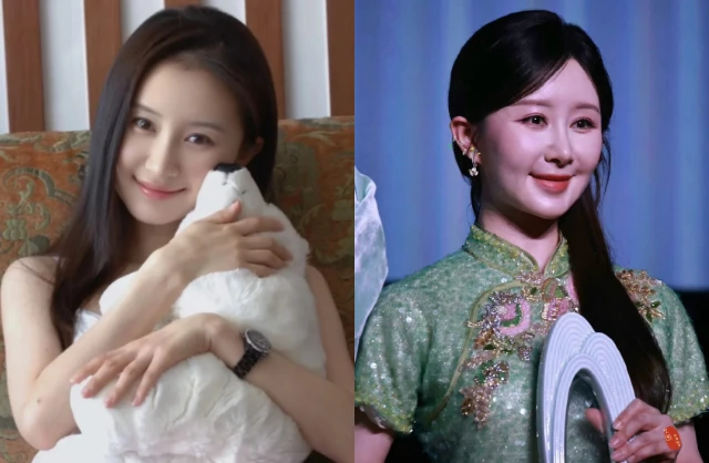 Không ai tin đây là đối thủ của Lưu Diệc Phi - Hình 5