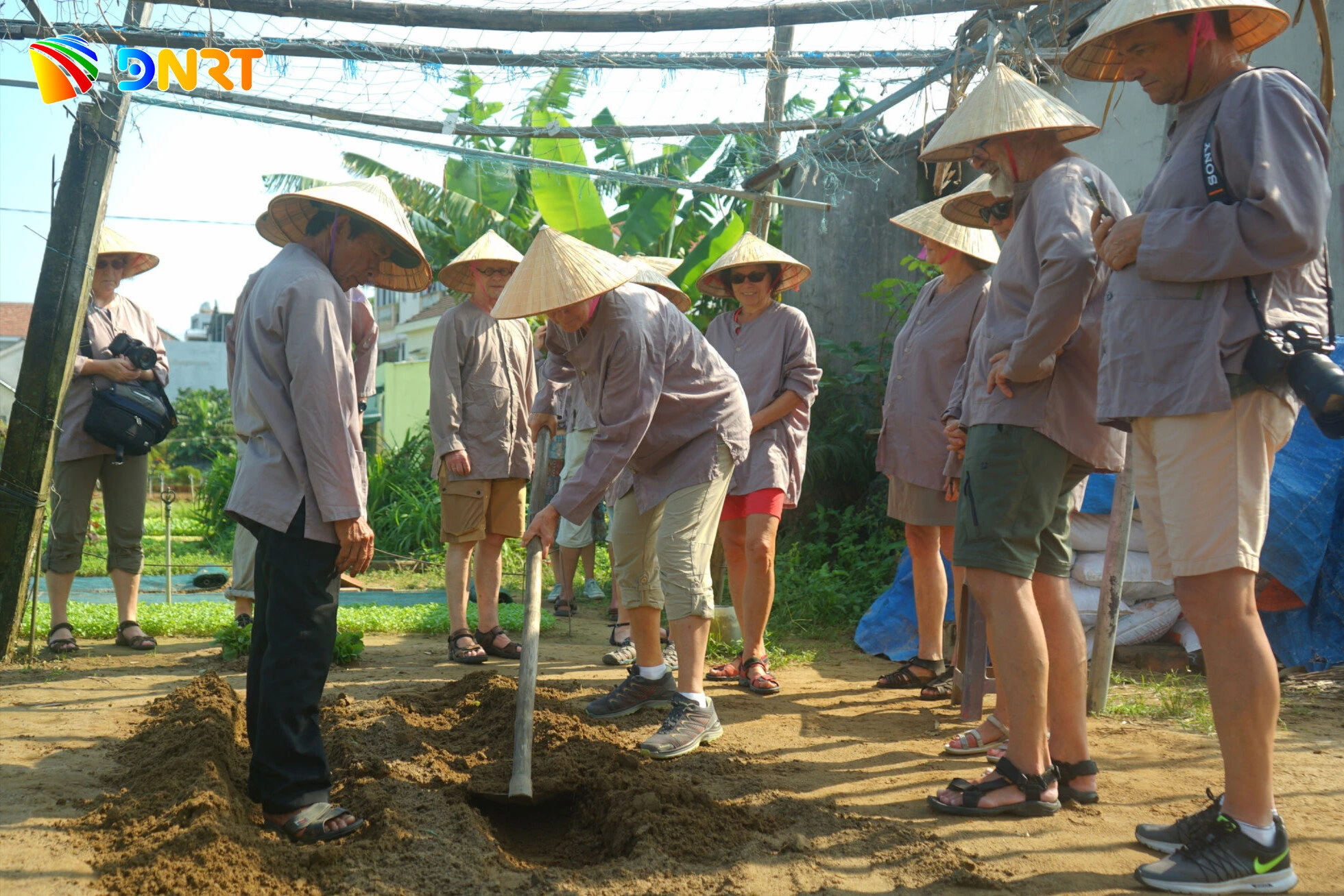 Nối miền xanh Cẩm Thanh - Trà Quế - Hình 1