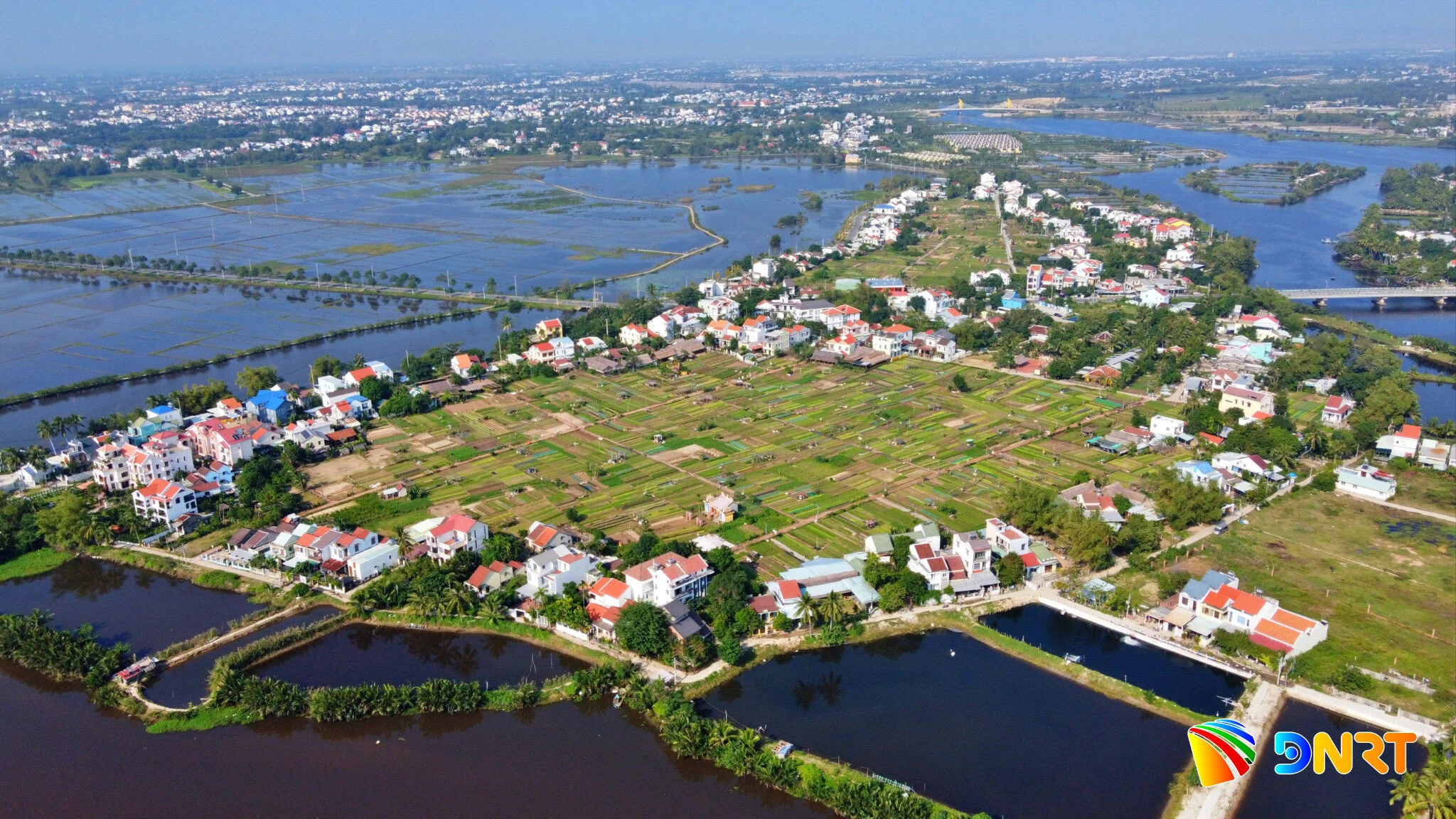Nối miền xanh Cẩm Thanh - Trà Quế - Hình 2