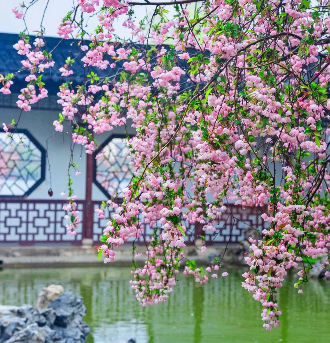 Giờ sinh Âm lịch của người dễ được lòng đồng nghiệp, sự nghiệp rộng mở - Hình 1