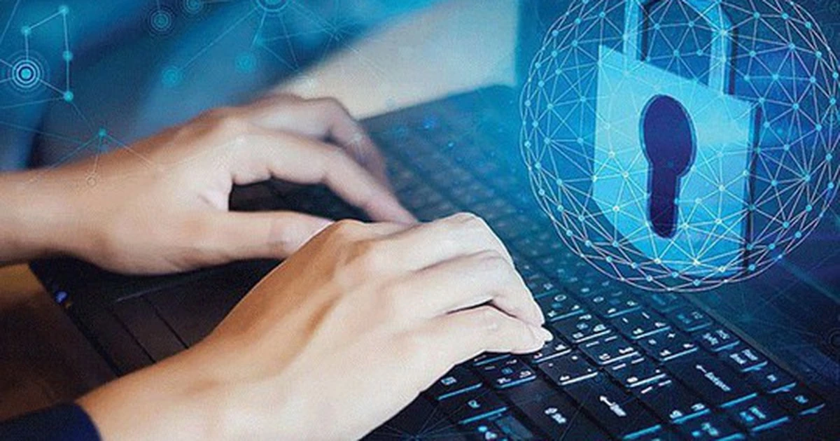 Đức và Áo triệt phá mạng lưới lừa đảo đầu tư trực tuyến - Hình 1