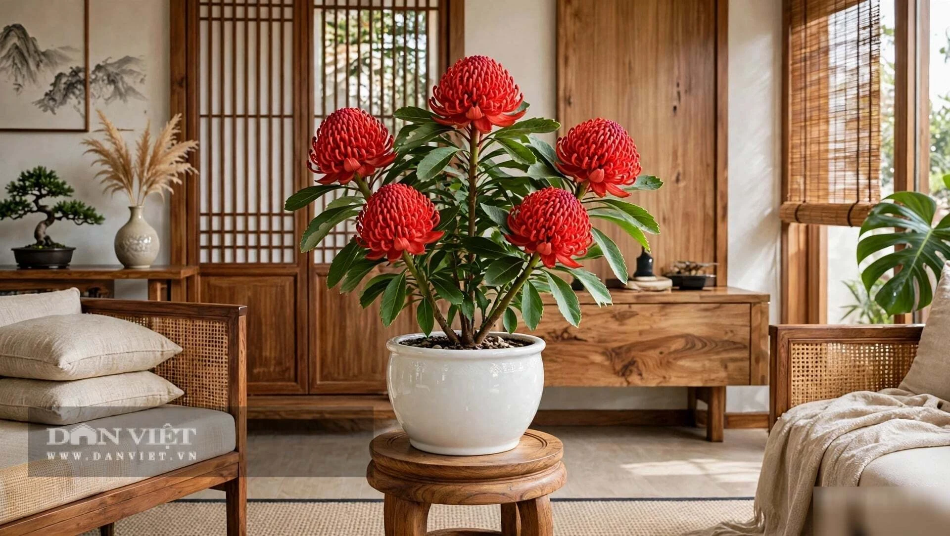 3 cây cảnh vượng khí, hoa đỏ hiếm lạ, người giàu thích nhất, trồng trong nhà chiêu tài, trấn trạch, an gia - Hình 7