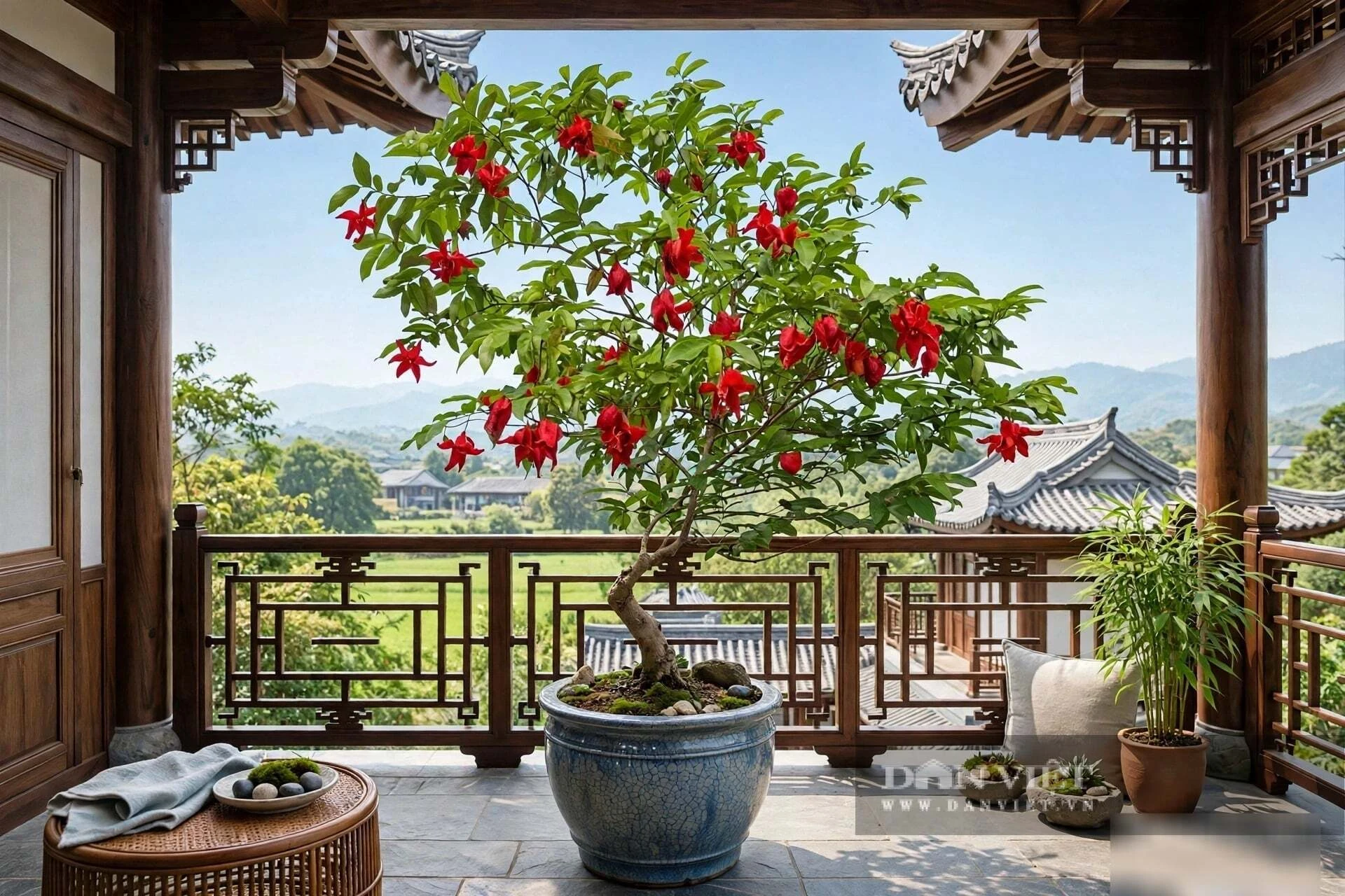 3 cây cảnh vượng khí, hoa đỏ hiếm lạ, người giàu thích nhất, trồng trong nhà chiêu tài, trấn trạch, an gia - Hình 3