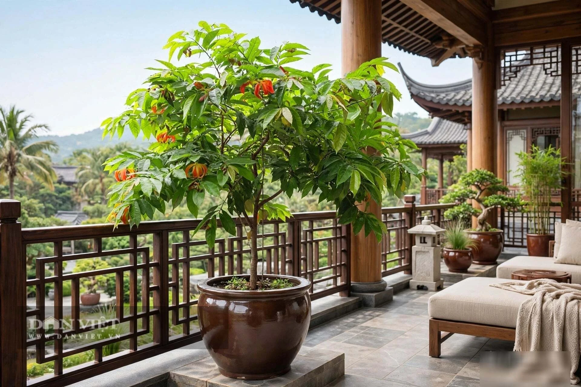 3 cây cảnh vượng khí, hoa đỏ hiếm lạ, người giàu thích nhất, trồng trong nhà chiêu tài, trấn trạch, an gia - Hình 4