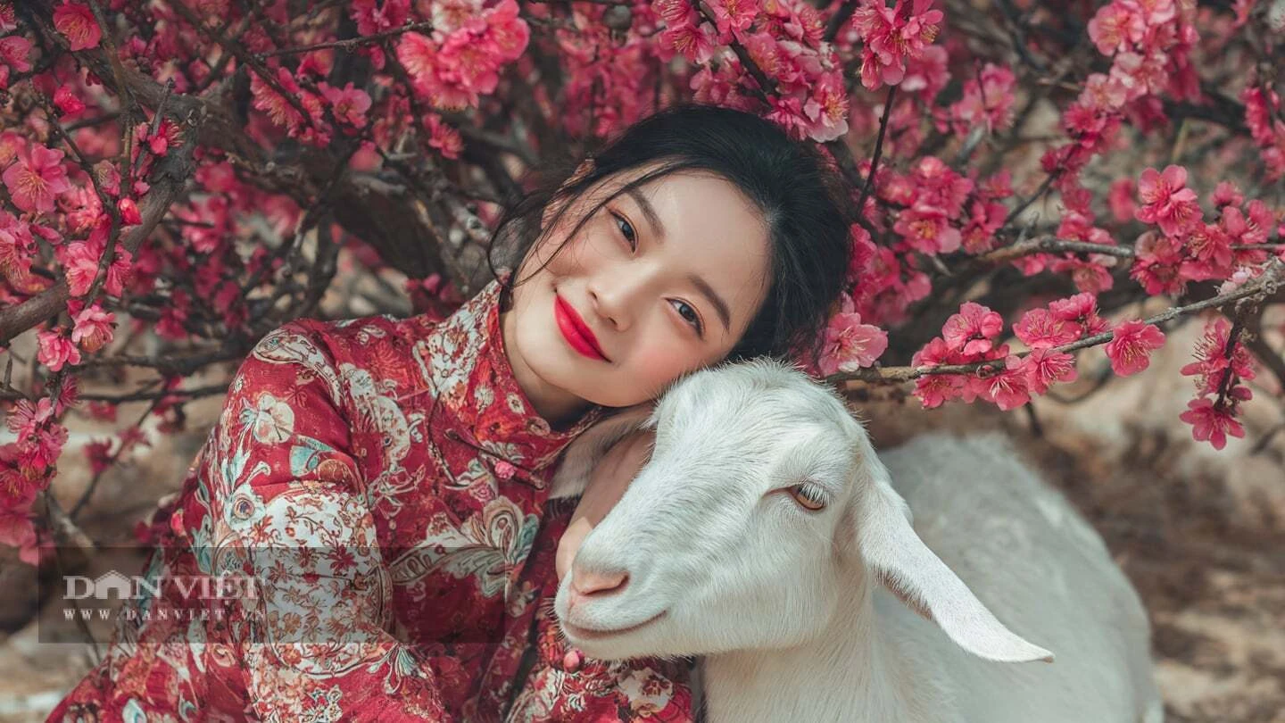 Tử vi ngày mai: 4 con giáp có EQ cao đáng ngạc nhiên, mùa thu được ban phước lành, tình tiền rực rỡ - Hình 4