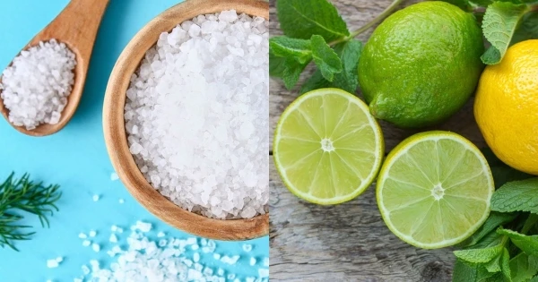 Sự kết hợp chanh và muối có tác dụng gì trong phong thủy và sức khoẻ? - Hình 1