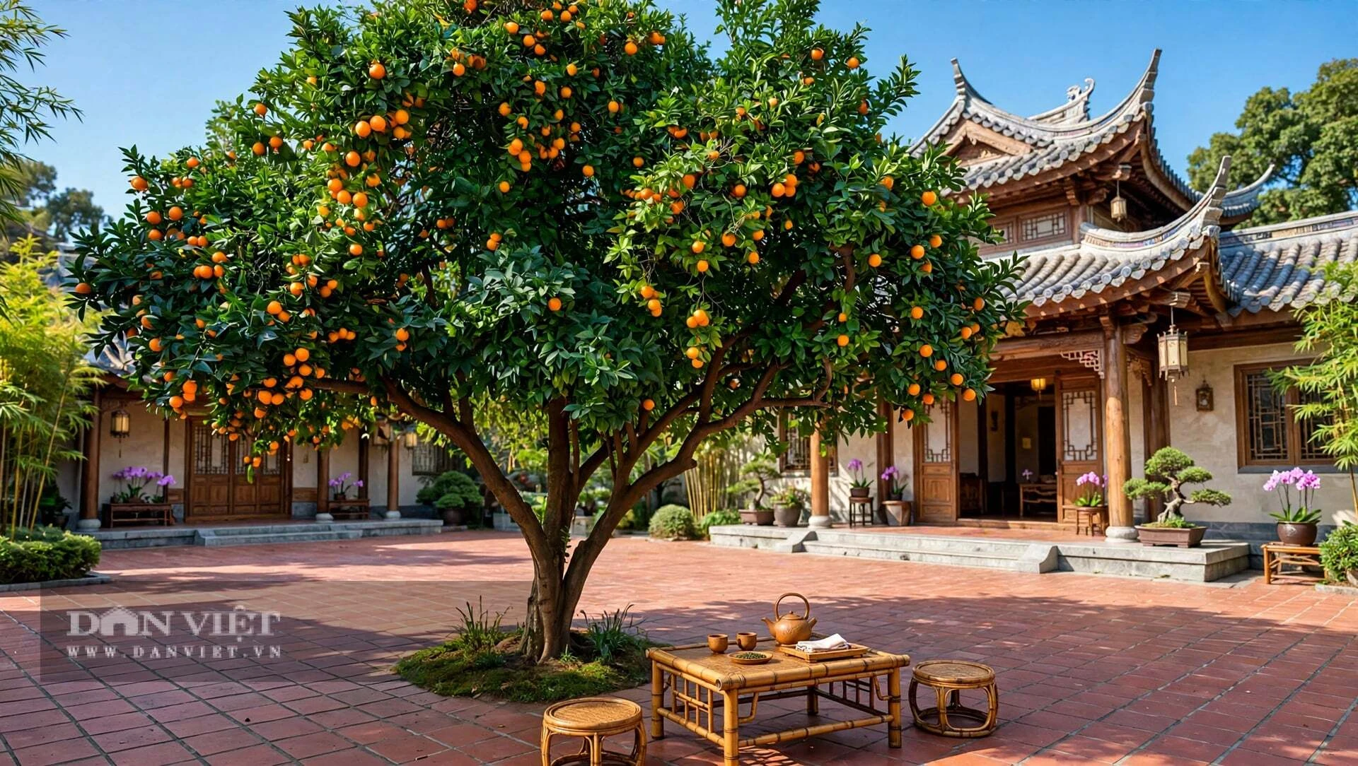 3 cây cảnh cho quả ngọt, tươi đẹp 4 mùa, trồng ở góc sân gia đình đại cát, phúc lộc dồi dào không dứt - Hình 10