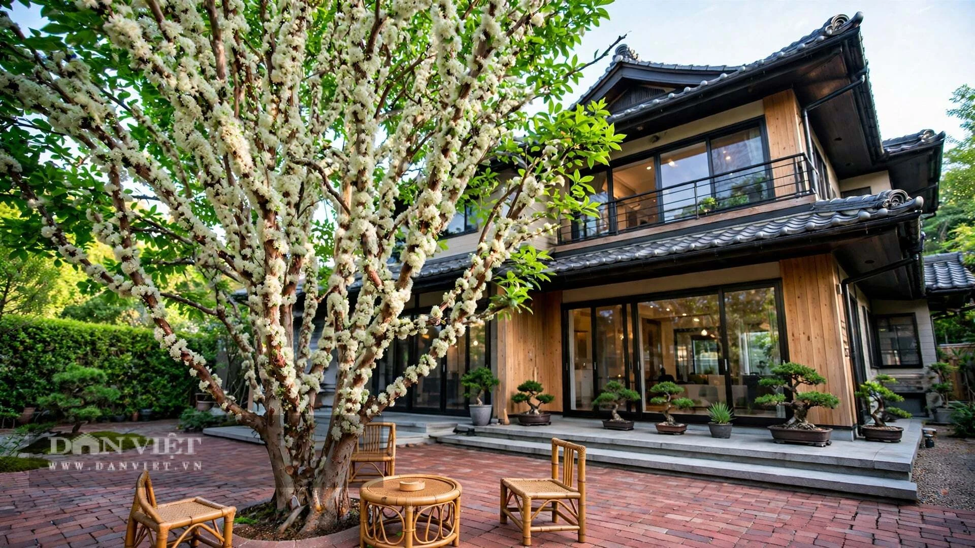 3 cây cảnh cho quả ngọt, tươi đẹp 4 mùa, trồng ở góc sân gia đình đại cát, phúc lộc dồi dào không dứt - Hình 3